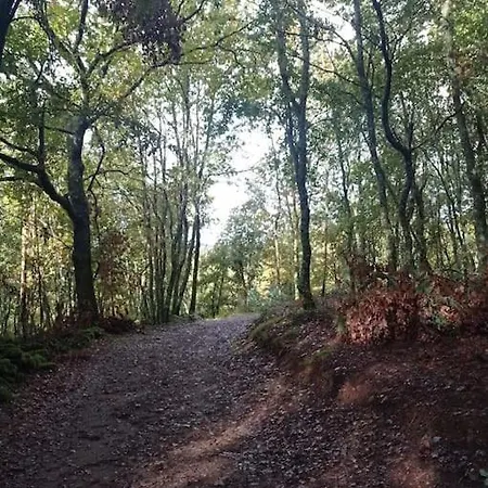 Casa Lamelas En La Ribeira Sacra *